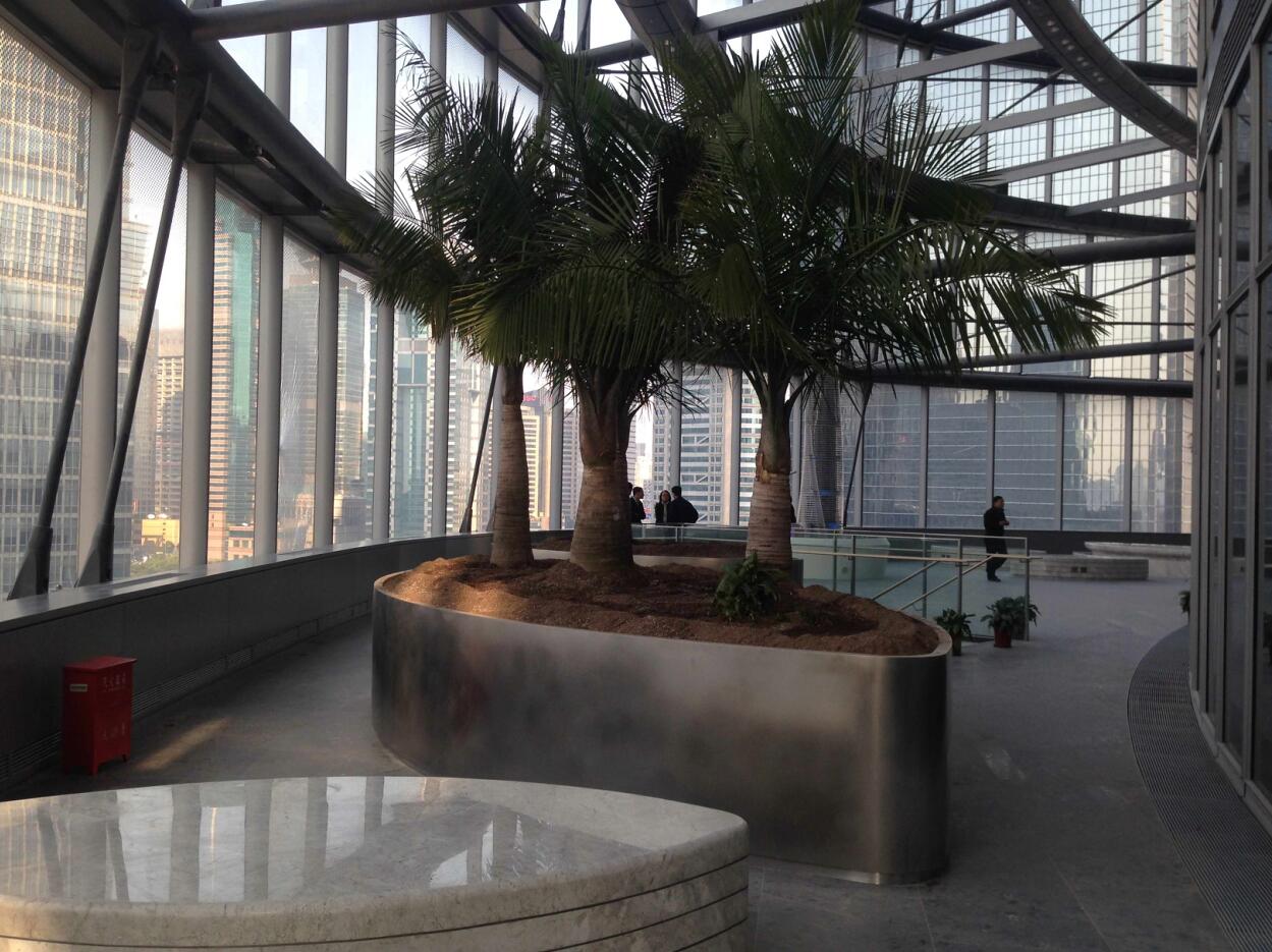 “上海中心大厦”外环境景观设计及功能提升